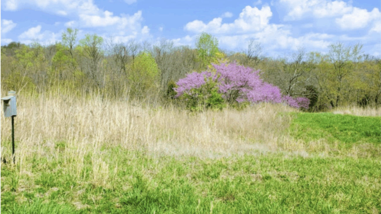 Screenshot 2025-08-04 at 11.25.05 AM