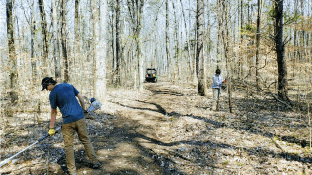 Screenshot 2025-08-04 at 11.25.50 AM